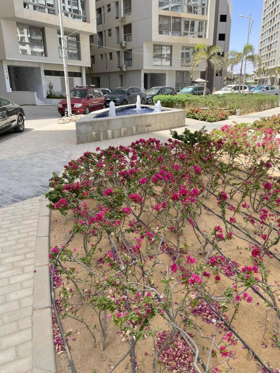 شقه فندقيه وان قطاميه דירה קהיר